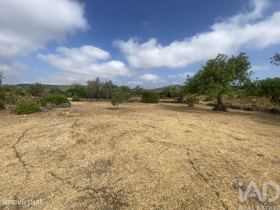 Terreno em Santa Catarina da Fonte do Bispo de 10000,00 m2