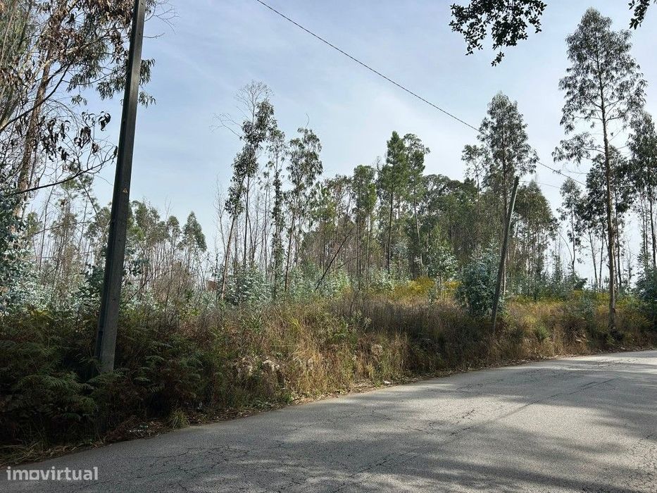 Terreno à Venda | 2.550 m² | Gougeba