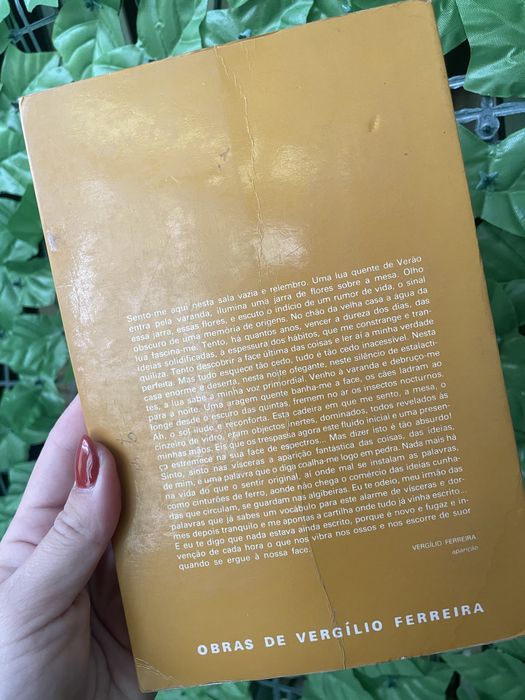 Livro Aparição - classico