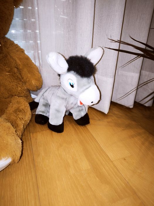 Animais de peluche precisam novo lar
