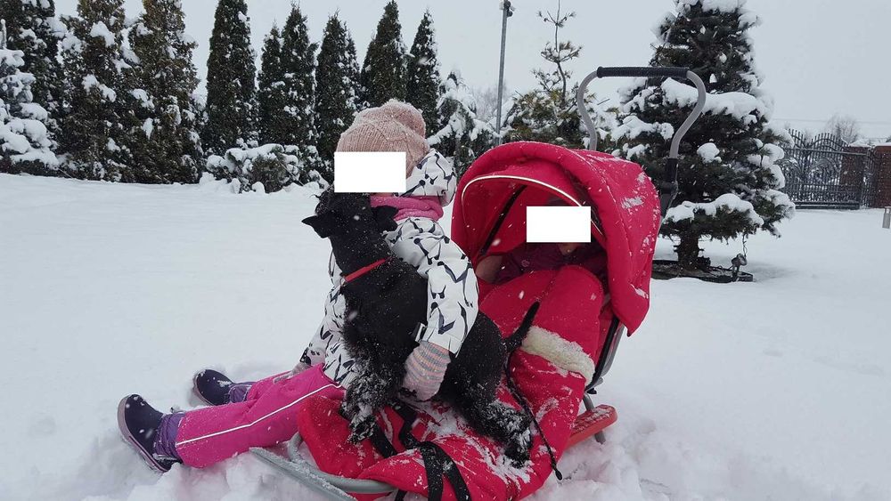 Sanki Piccolino, budka, spiwór