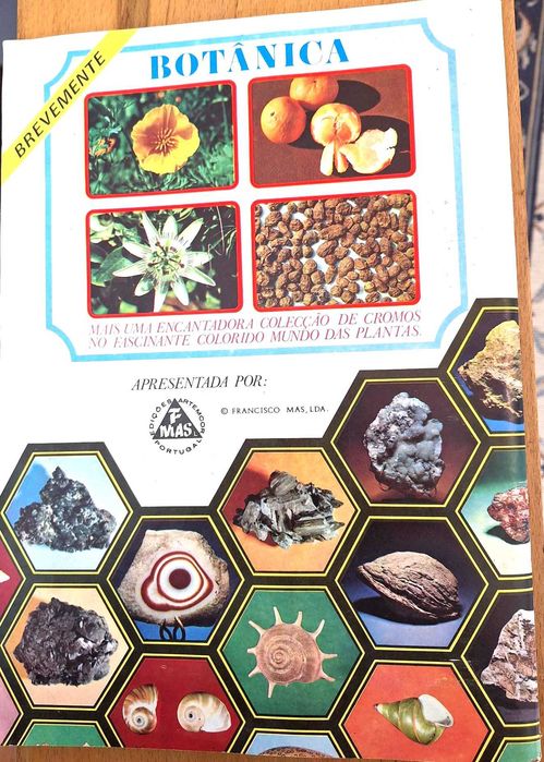 Caderneta 250 cromos coleção Mineralogia, Minerais, Fósseis e Conchas
