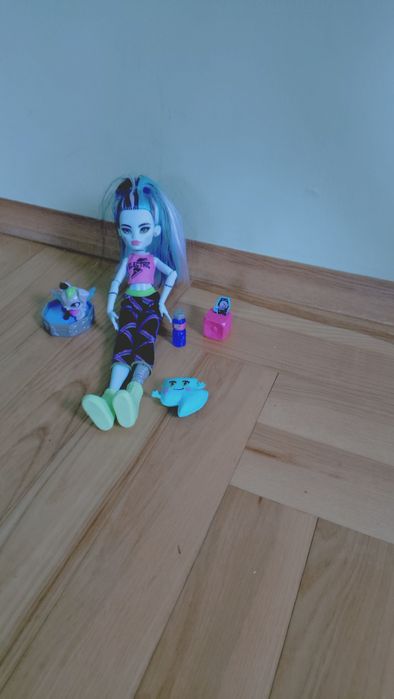 Lalka monster High Franke Stein