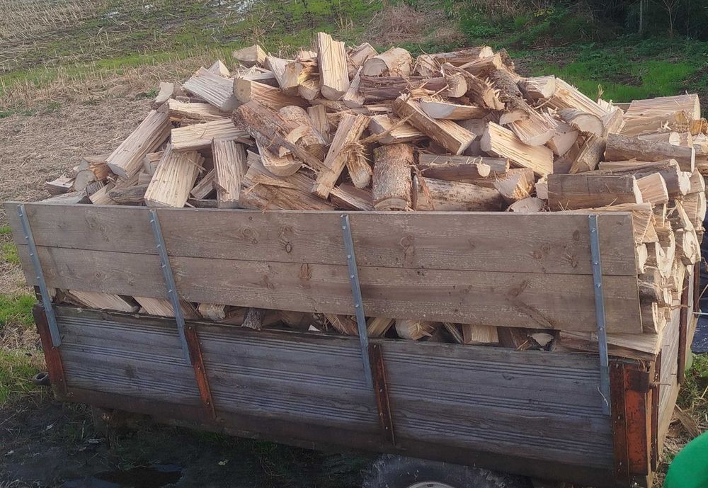 Lenha verde de eucalipto e carvalho