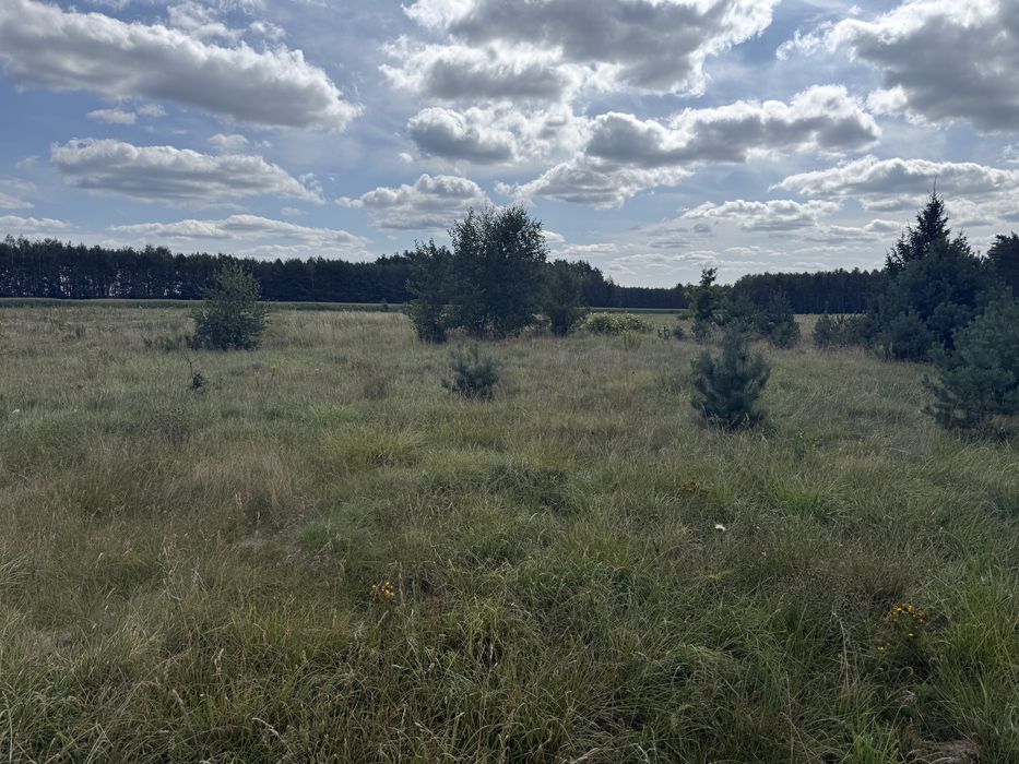 Działka 3000m Wojszki