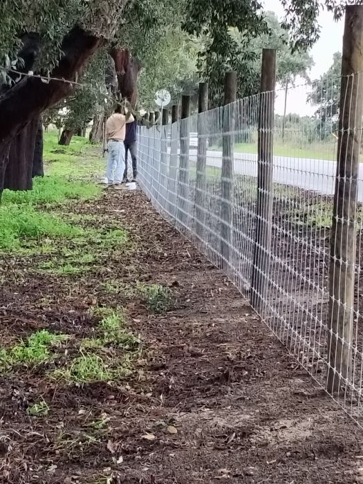 Vedações rústicas/Rurais/Urbanas