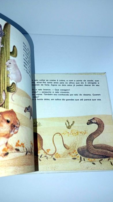 Dois Ratos em Viagem - ABC Verbo