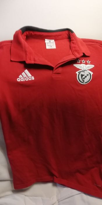 Polo do Benfica vermelho adidas