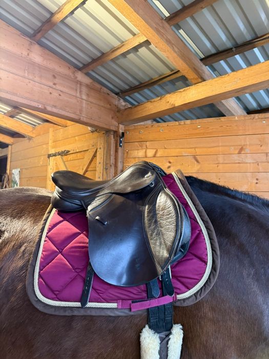 Siodło skokowe Thorowgood