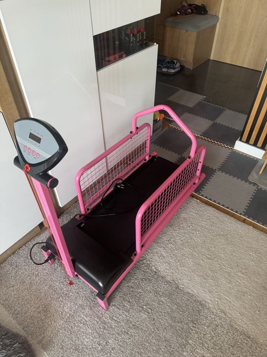 Bieżnia dla psa kota