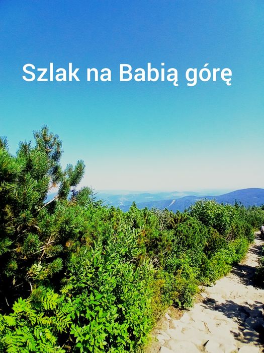 ZAWOJA NOCLEGI,apartament  na szlaku  w Zawoi na wyłączność