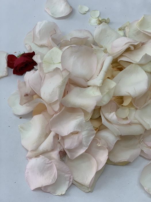 Пелюстки троянд (свіжої троянди)