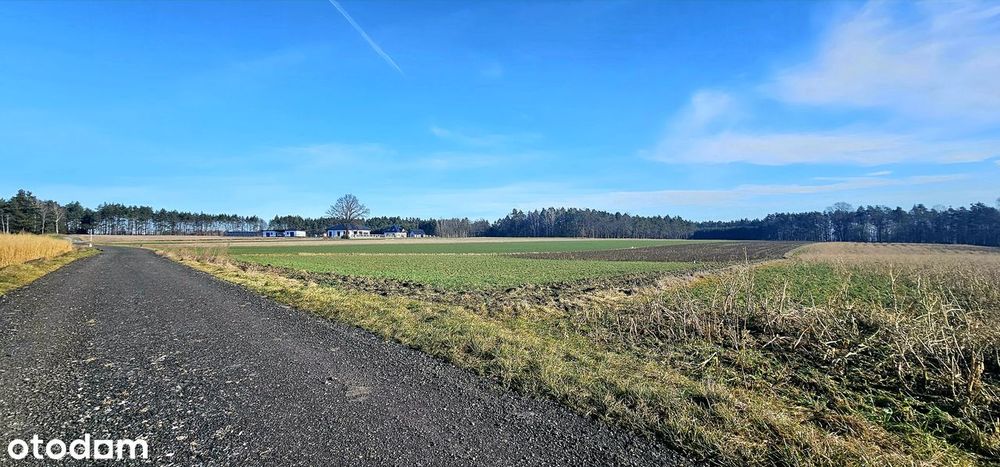 Działka w leśnej scenerii tylko 7 km od Olesna!