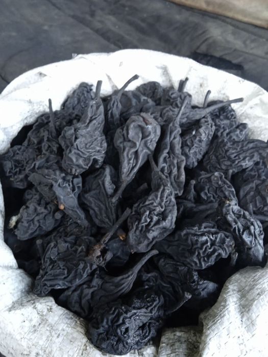 Чорнослив домашній