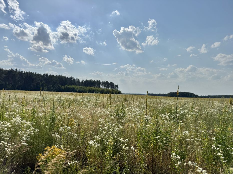 Земельна ділянка 27 га! Андріївка.