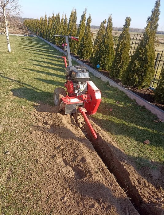 Usługi ogrodnicze ogrody