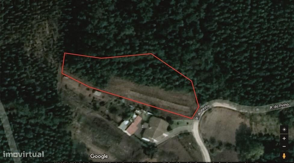 Terreno com cerca de 3.000 m2 - Mata da Bidoeira