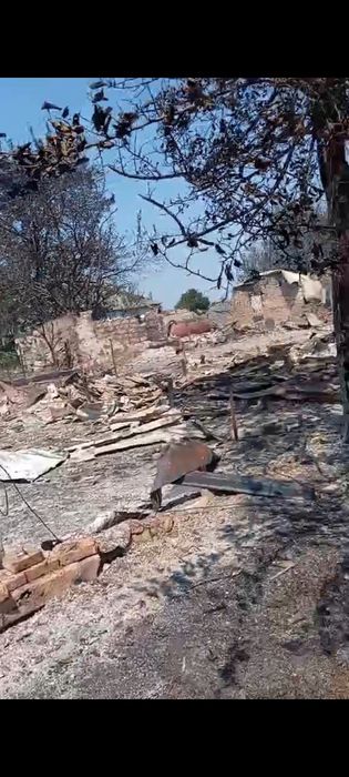 Старички нуждаются в помощи