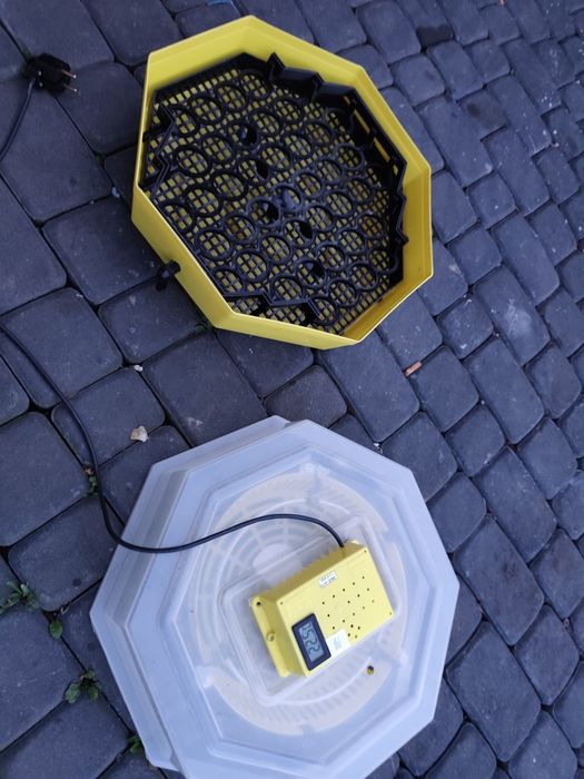 Inkubator CLEO 5