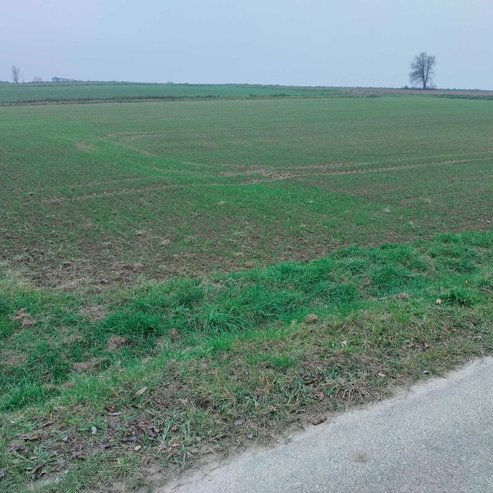 Działka rolno-budowlana