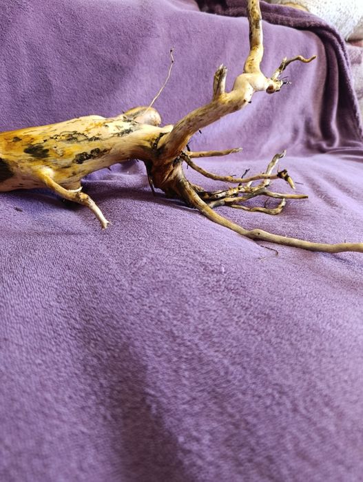 Коряга для акваріума