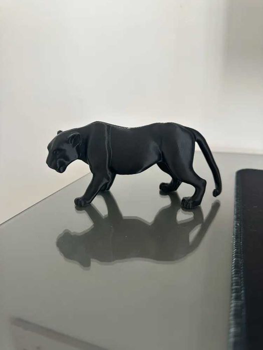 jaguar na półeczkę