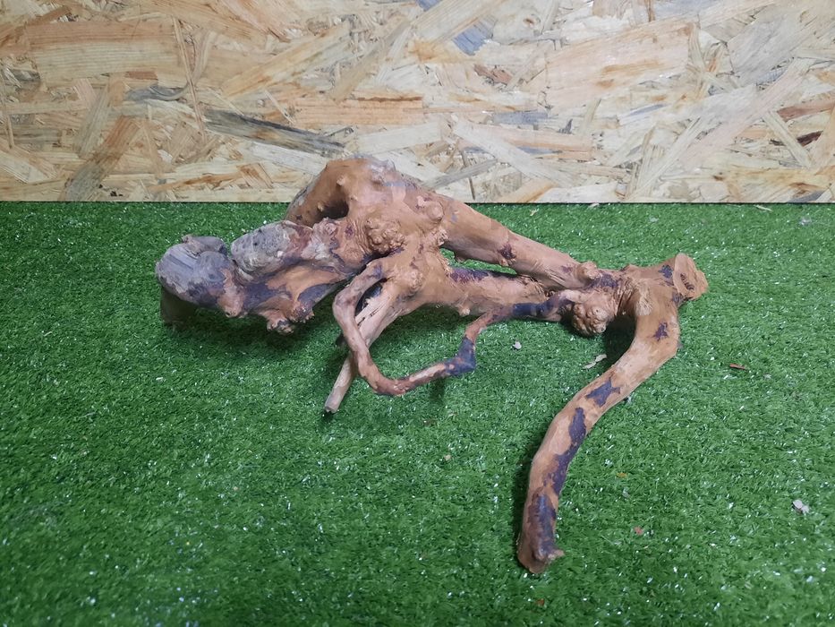 Korzeń do akwarium Red Moore Wood nr 958 o wymiarach 36/19/19