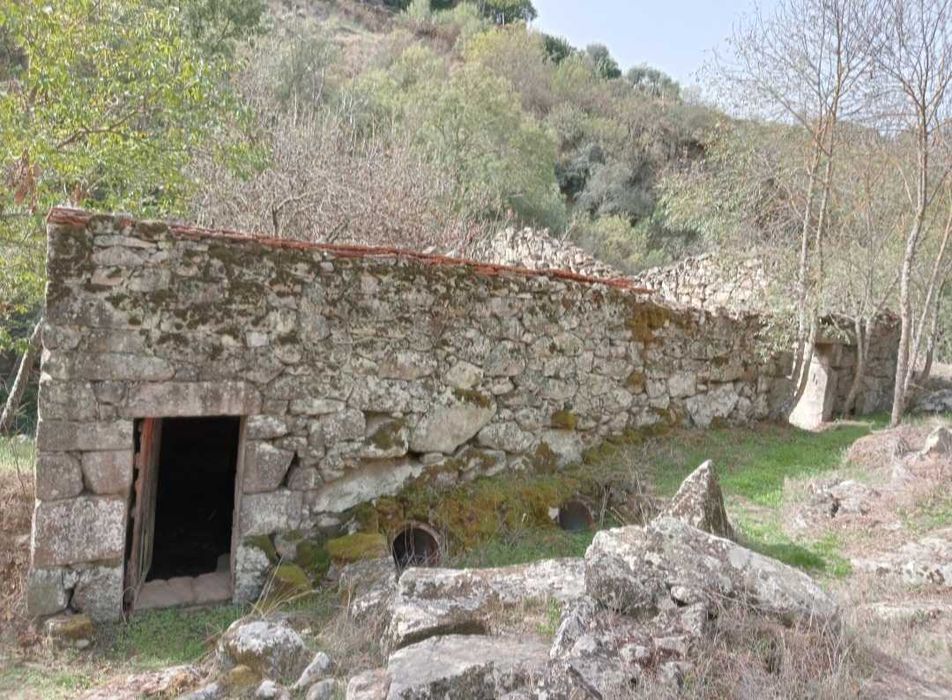Terreno Lamego com Moinho