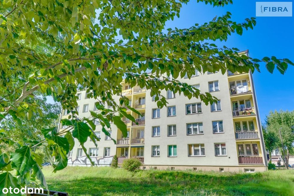 Mieszkanie – Wodzisław Śląski - Widok 5