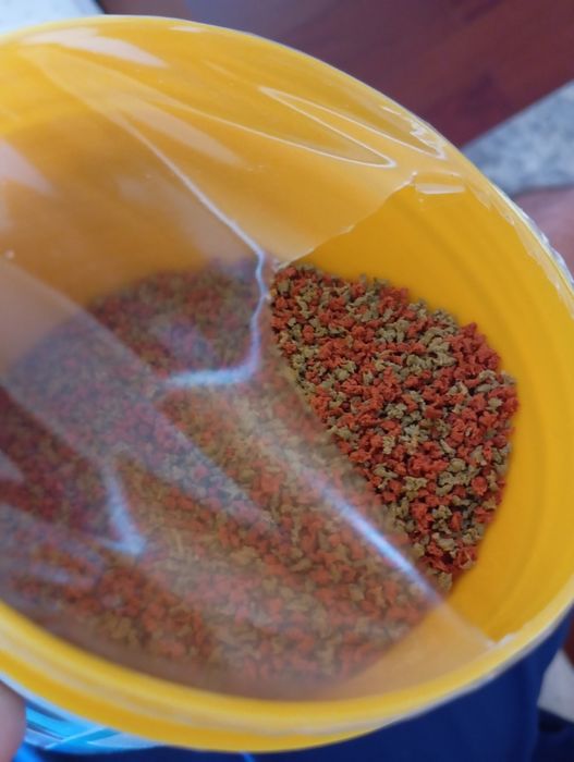 Vipagran - Peixes Água Quente