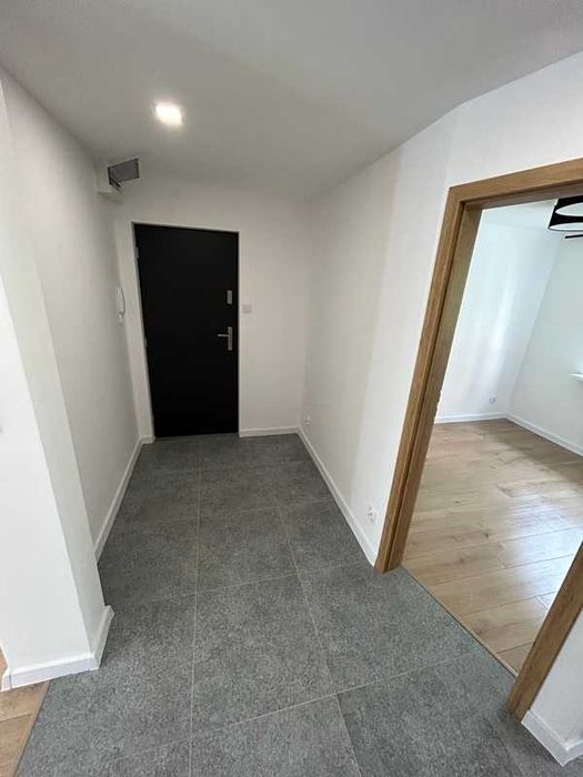 Wynajmę przestronne mieszkanie ,po remoncie 48m2 Wysoki parter .