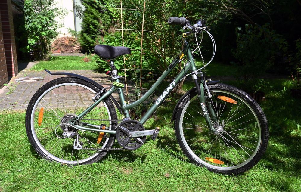 Rower Giant Sedona SE rama S