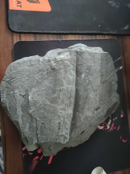 Skały, kamienie do akwarium