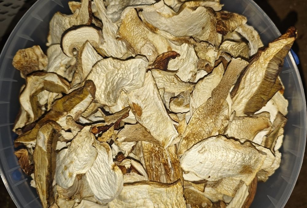 Сушені гриби.  .