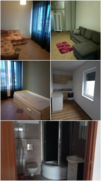 Mieszkanie do wynajęcia