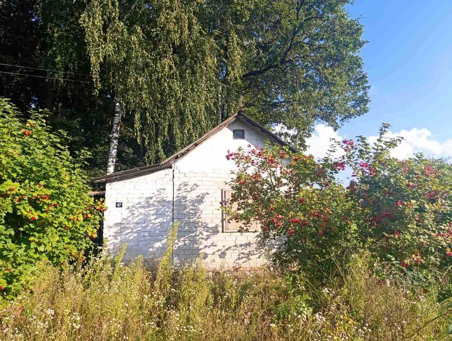 Дача біля лісу, просто поруч - річка Білоус !