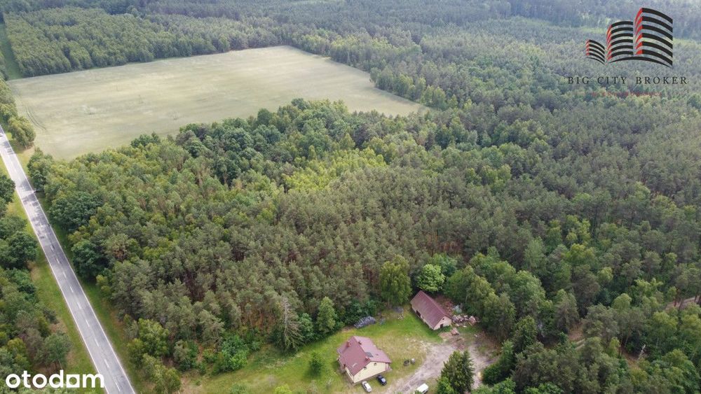 Piękna działka leśna z możliwością zabudowy