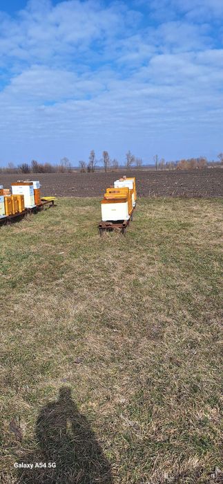 Вулики ппу 8 рамок