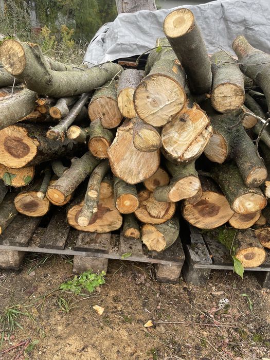 Drewno opałowe Jabłoń