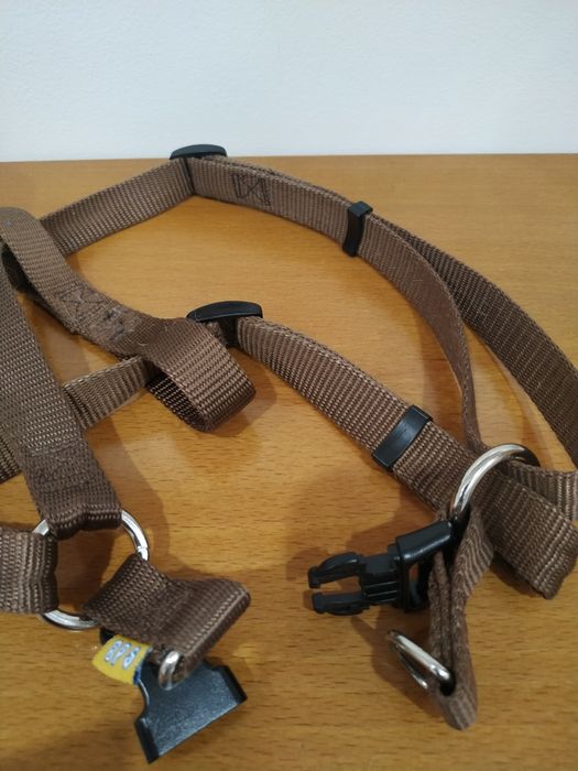 Peitoral cão médio porte