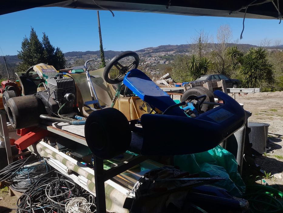 Karting adulto e um para criança