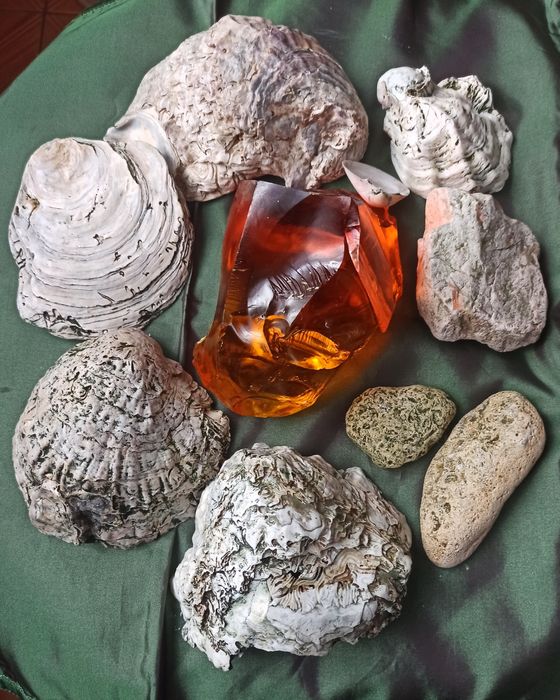 Декор в акваріум