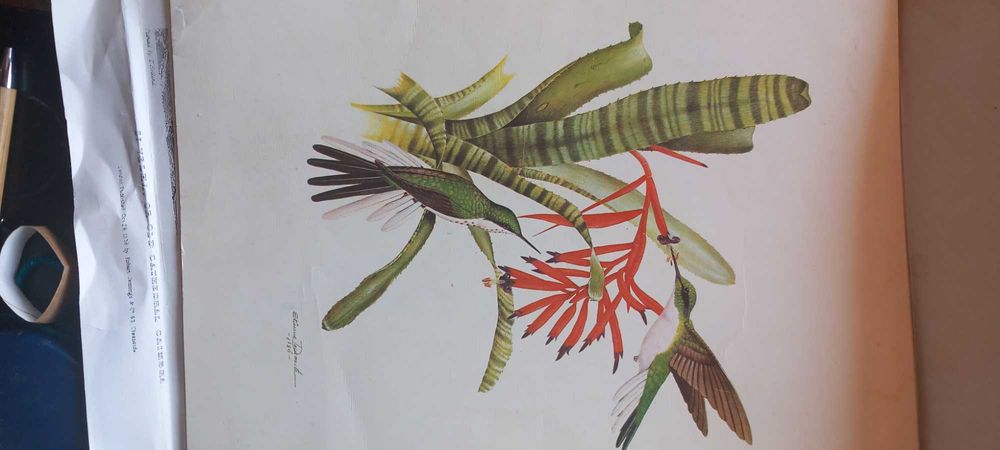 Litografia de Etienne Demonte