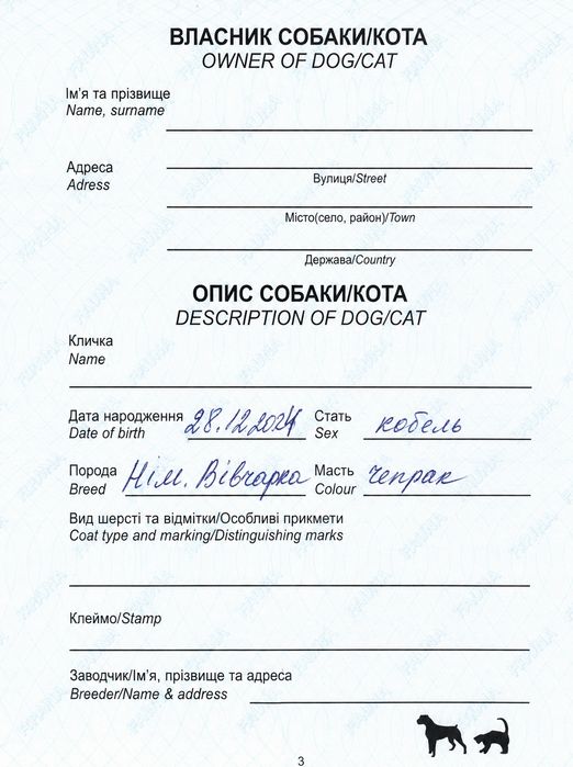 Немецкая овчарка — кобель для вязки