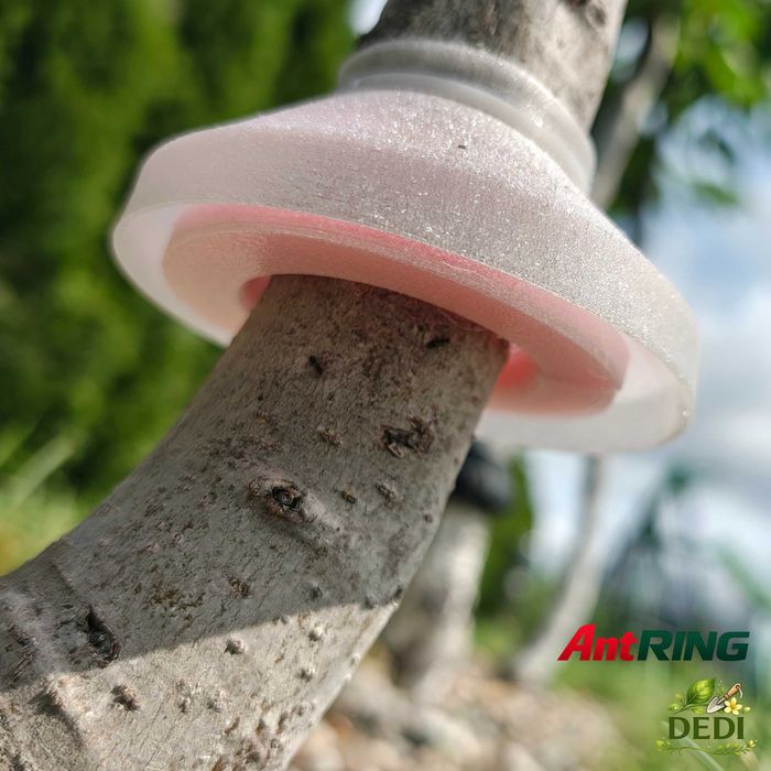 AntRING - pułapka na mrówki, blokuje dostęp do mszyc (40-55mm) (10 sztuk)
