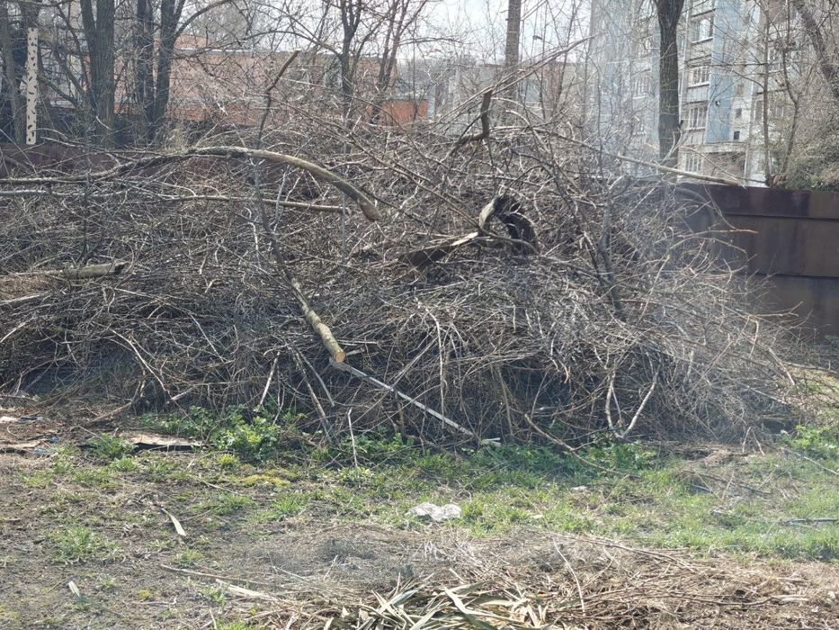 Дрова безкоштовно !