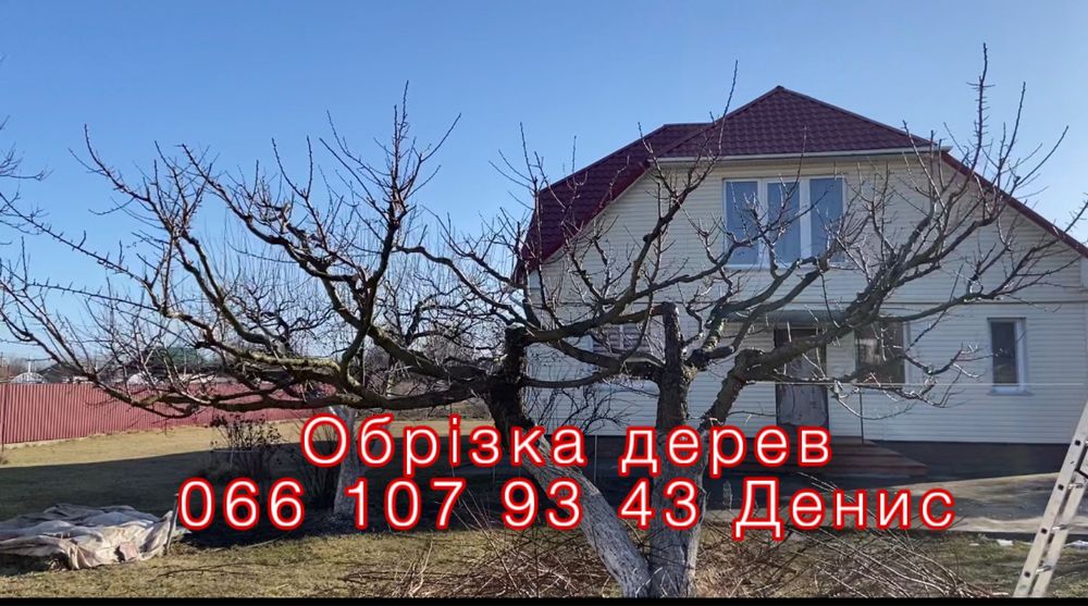 Професійна обрізка плодових дерев та кущів . Обрізка саду