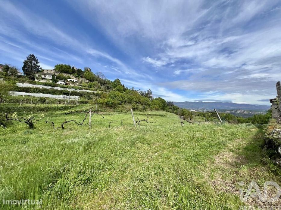 Terreno em Vouzela e Paços de Vilharigues de 26750,00 m2