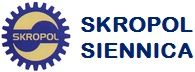 Mechanizm różnicowy kompletny Ursus C-360 zęby skośne Skropol