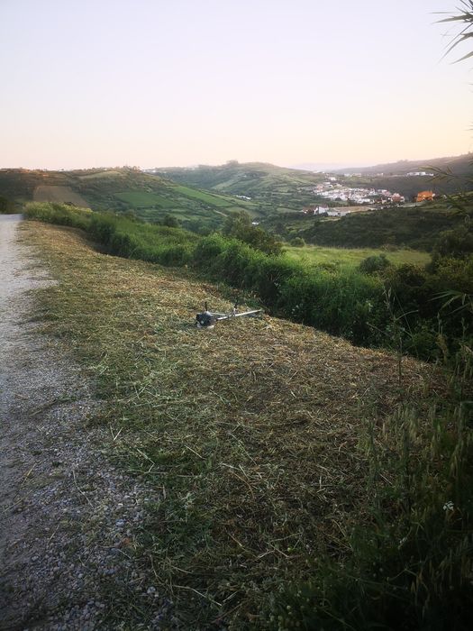 Limpeza de terrenos